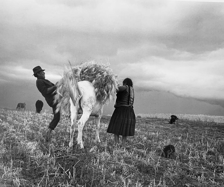 Gallery of Photography by Flor Garduño - Mexico