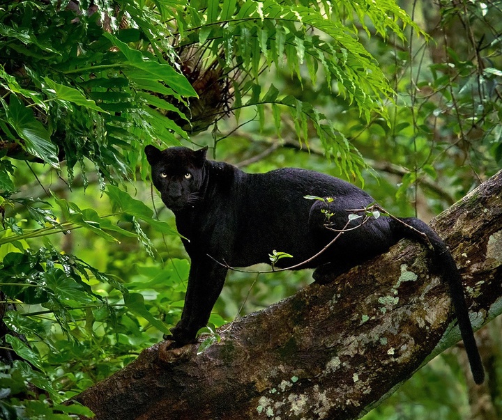 Gallery of Photography by Mithun Hunugund