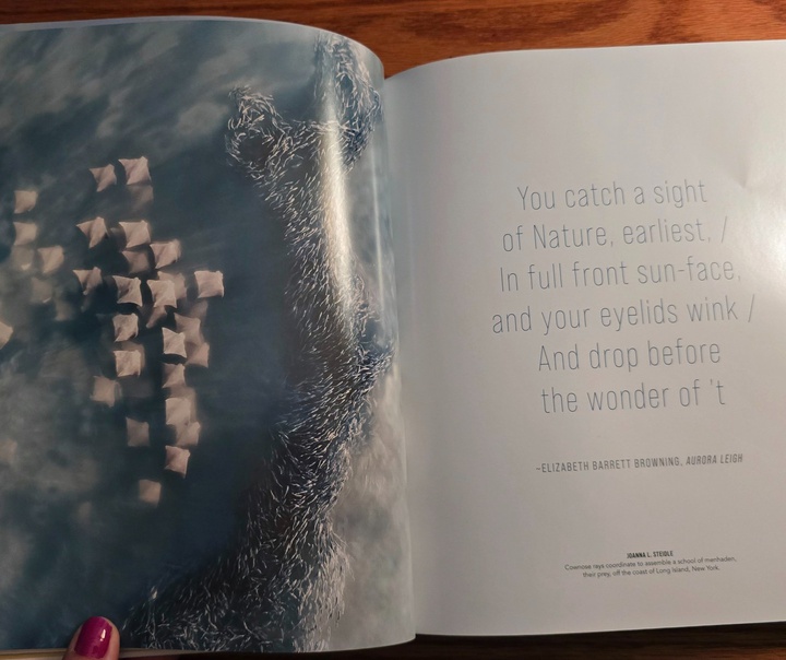 Joanna Steidle