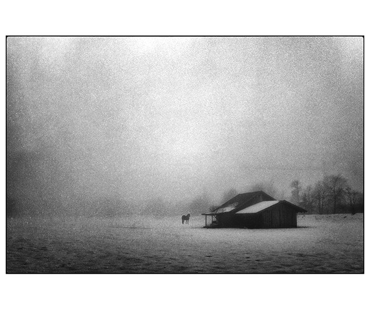 Gallery of photography by Ando Fuchs - Austria