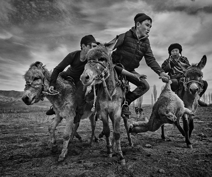 Gallery of Photos International Contest -Istanbul 2021