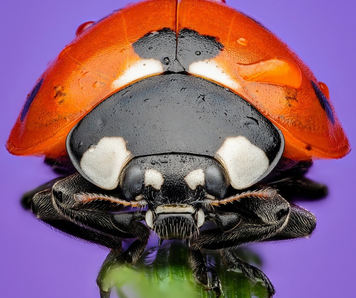 Gallery of Photography by Ben Salb - USA