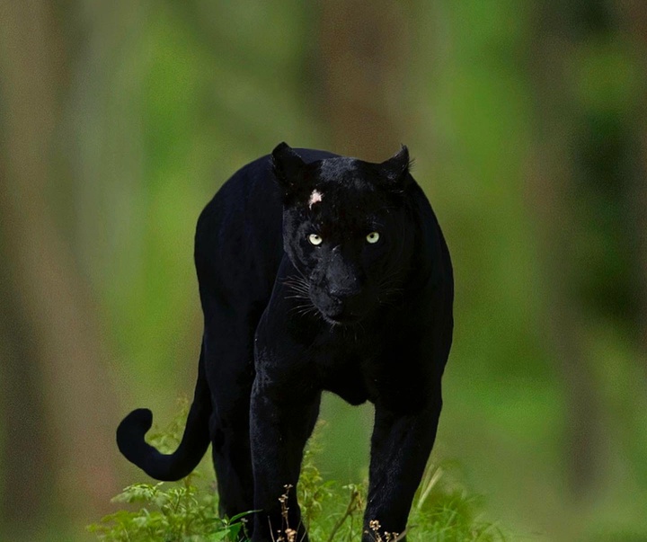 Gallery of Photography by Mithun Hunugund