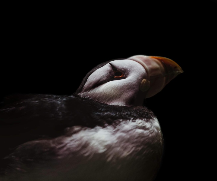 Gallery of Photography by Abbey Bratcher Parish - USA