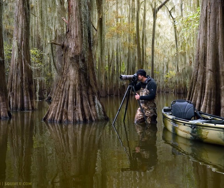 Gallery of Photography by Marsel van Oosten- Netherlands