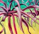 Gallery of Painting by Alessandra Risi - Peru