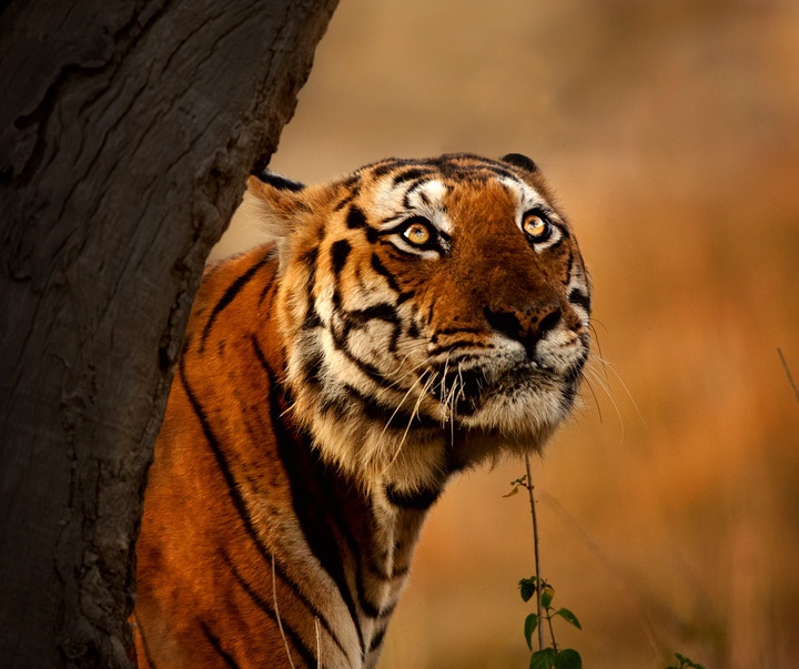 Gallery of Photography by Mithun Hunugund