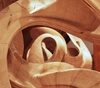 Gallery of Sculpture by Koloman Wagner - Germany