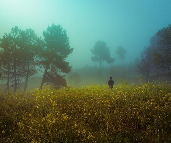 Gallery of Photography by Henri Prestes - Portugal