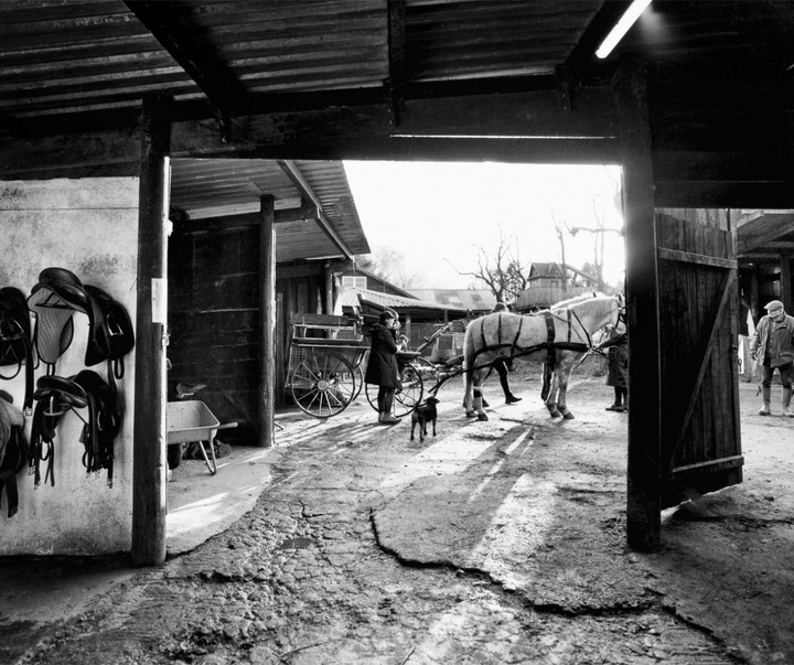 Gallery of Photography by Constance Jaeggi - Switzerland