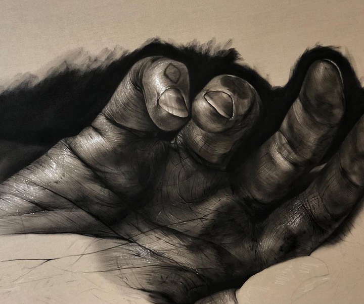 Gallery of Drawing & Painting by Kit King - Canada