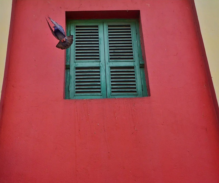 Gallery of Photography by Pranay Pariyar - India