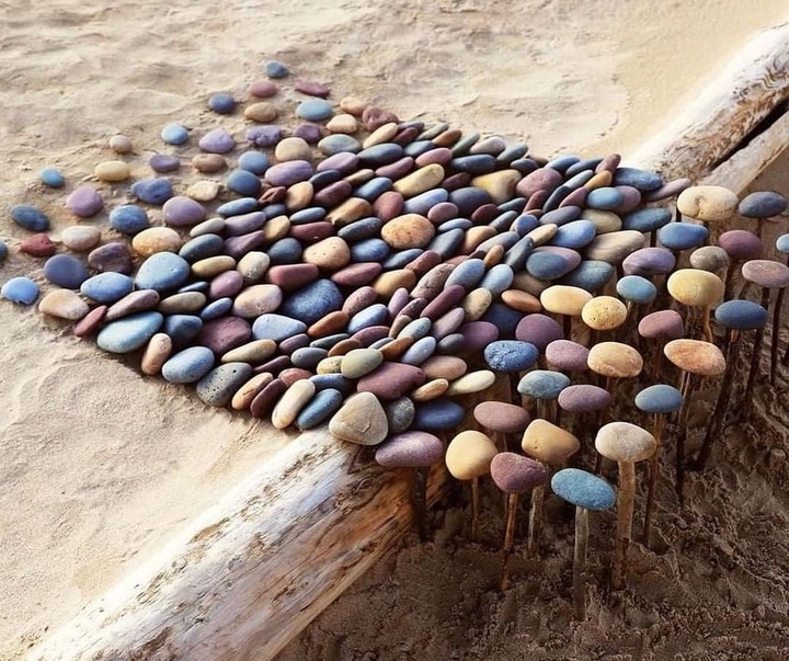 Gallery of the best Visual Arts in the World-8