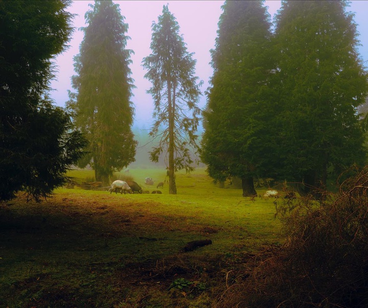 Gallery of Photography by Henri Prestes - Portugal