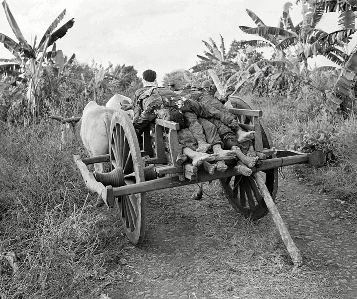 Gallery of War Photos in Vietnam by Horst Faas-Germany