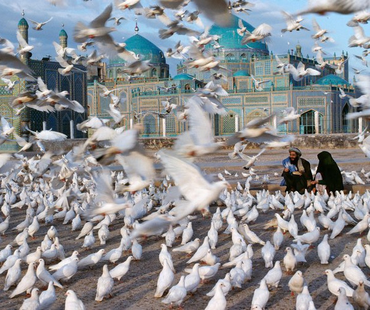 Gallery of Photography by Steve McCurry - USA