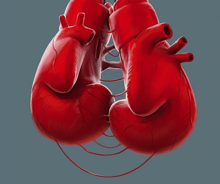 Gallery of Graphics by Karol Rogoz - Poland