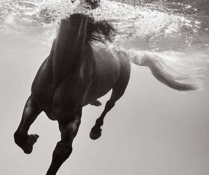 Gallery of Photography by Drew Doggett - USA
