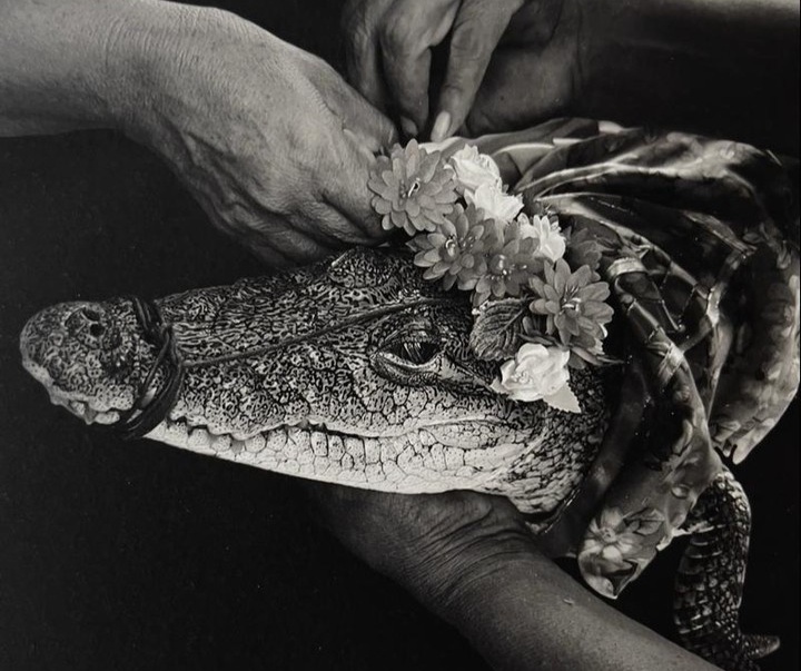 Gallery of Photography by Flor Garduño - Mexico