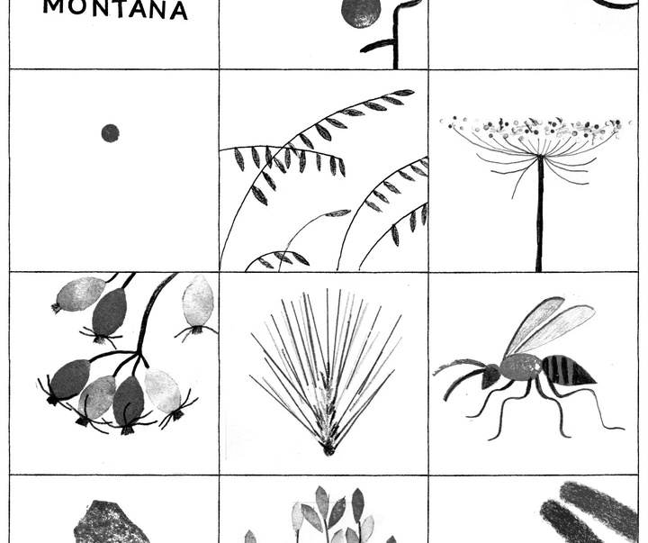 Gallery of Illustration by Francisca Alvarez Sánchez - Chile