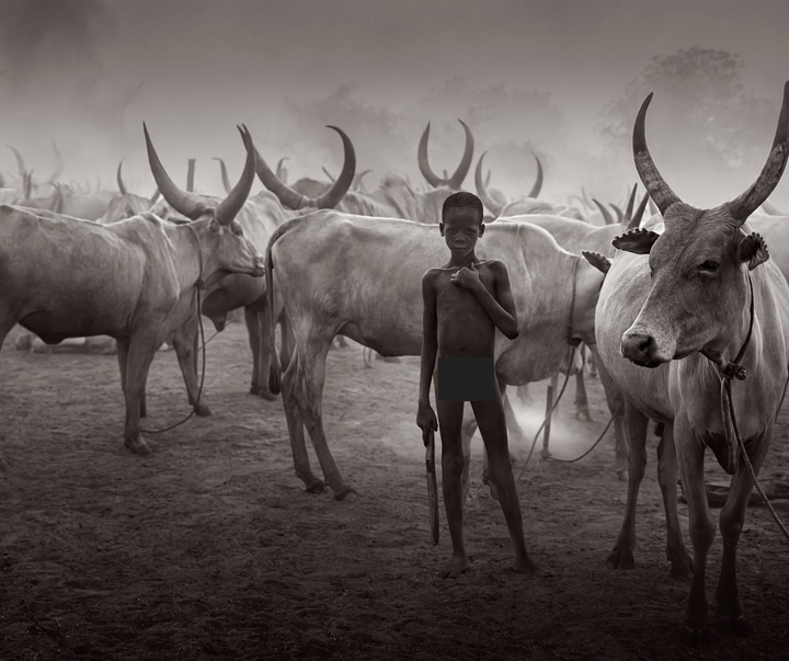 Gallery of Photography by Drew Doggett - USA
