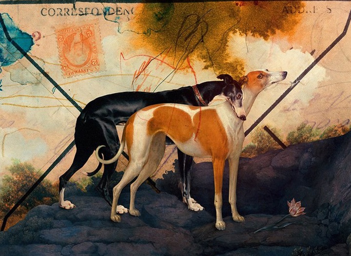 Gallery of Illustration by Eduardo Recife - Brazil