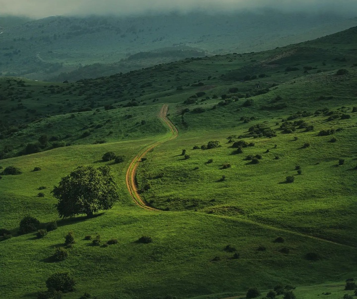 Gallery of Photography by Javad Jahanbin- Iran