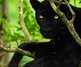 Gallery of Photography by Mithun Hunugund
