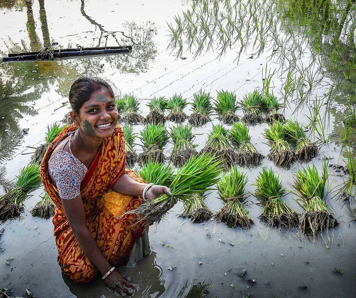 Gallery of photography by Pranab Basak - India