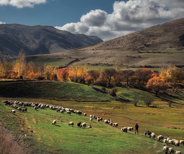 Gallery of Photos by Aygul Ozturk-Turkey