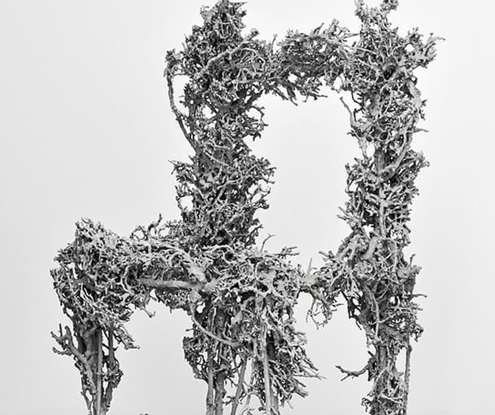Gallery of Sculpture by Paolo Grassino - Italy