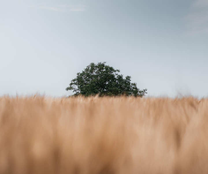 Gallery of Photography by Lawrence Walton - UK
