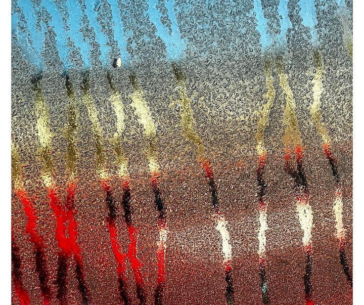 Gallery of Photography by Charlotte Laboyrie