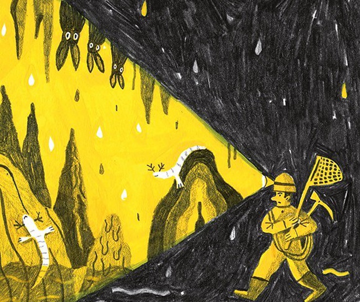 Gallery of Illustration by Andrea Antinori