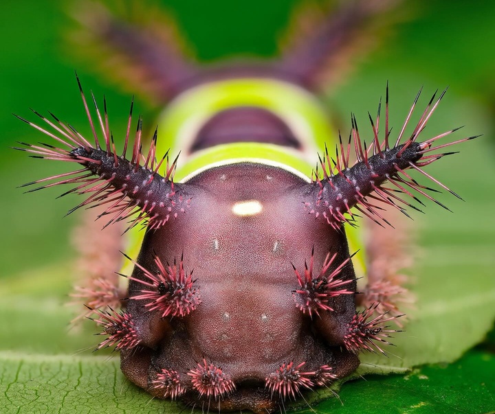 Gallery of Photography by Ben Salb - USA