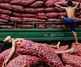 Gallery of Photography by Hersley-Ven Casero - Philippines