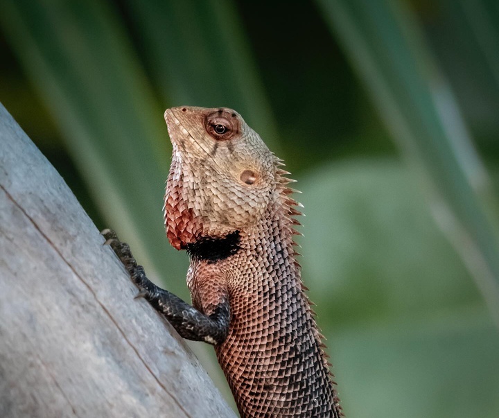 Gallery of Photography by Lawrence Walton - UK