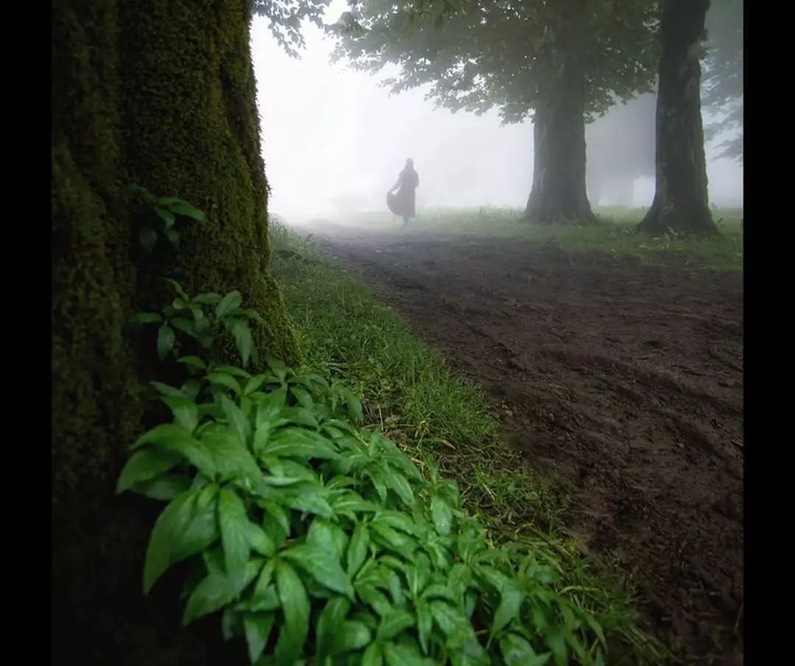 Gallery of Photography by Javad Jahanbin- Iran