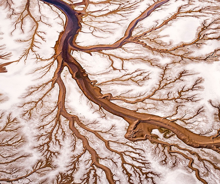 Gallery of Photography by Paul Nicklen - Canada