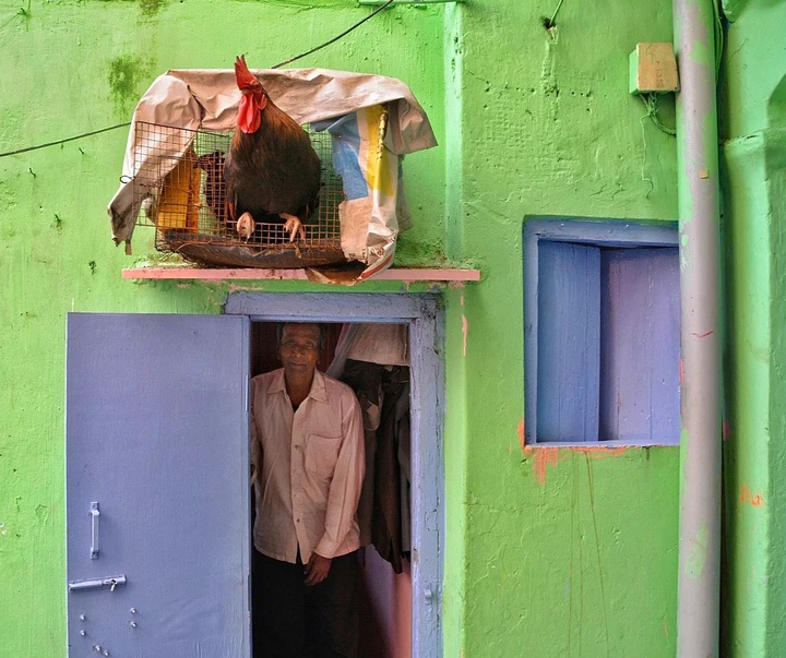 Gallery of Photography by Pranay Pariyar - India