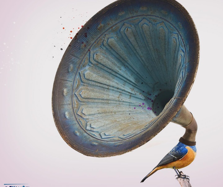 Gallery of Illustration by Pablo Bernasconi - Argentina