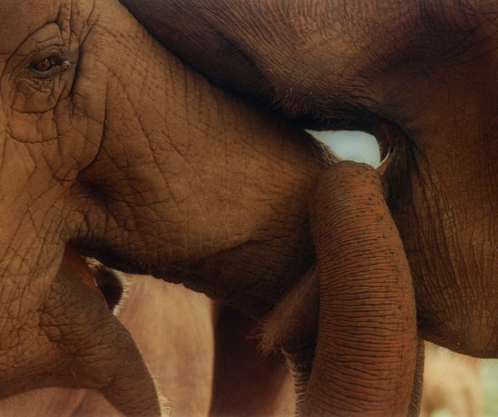 Gallery of Photography by kin chan coedel - Paris/Shanghai
