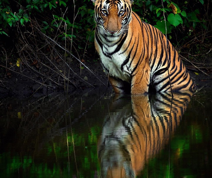 Gallery of Photography by Mithun Hunugund