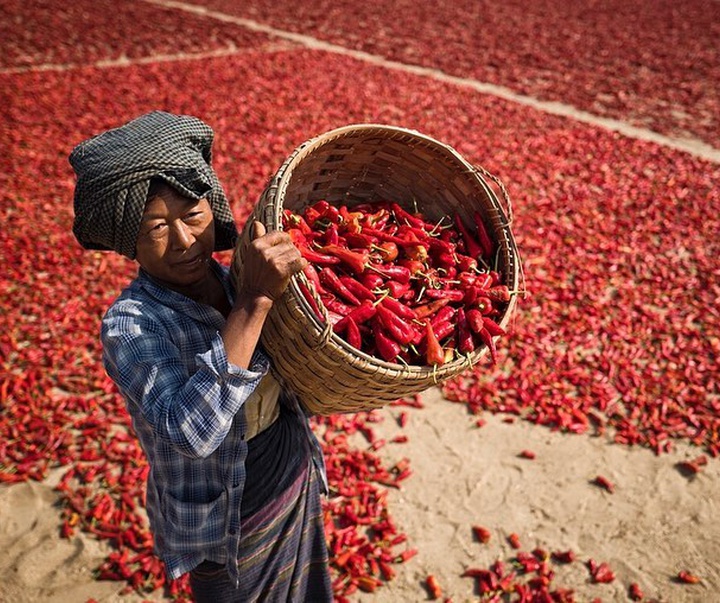 Gallery of photography by Joshua Buana - Indonesia