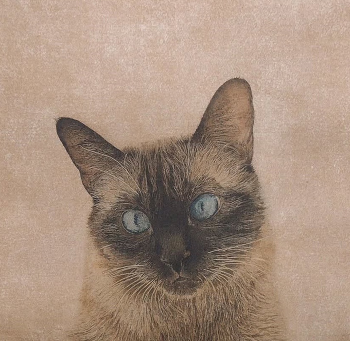 Gallery of Painting by Marta de la Sota Cores - Spain