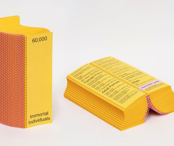 gallery of Graphics - Bookmaking Design