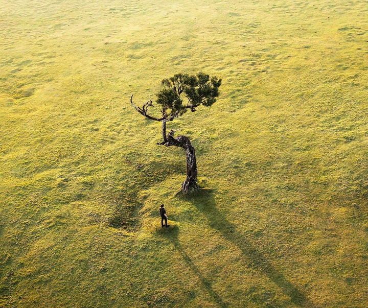 Gallery of Photography by Daryl Scott Walker - England