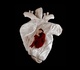 Gallery of Modern Art by Polina Osipova - Russia
