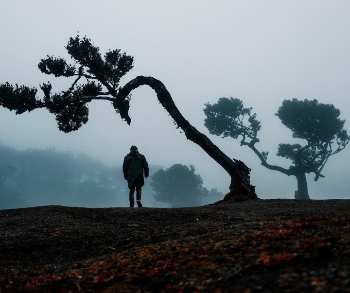 Gallery of Photography by Jonas Dyhr Rask - Denmark
