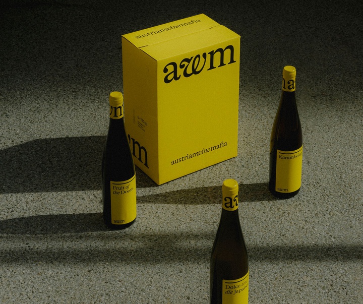 Gallery of Graphics by Lukas Diemling - Austria